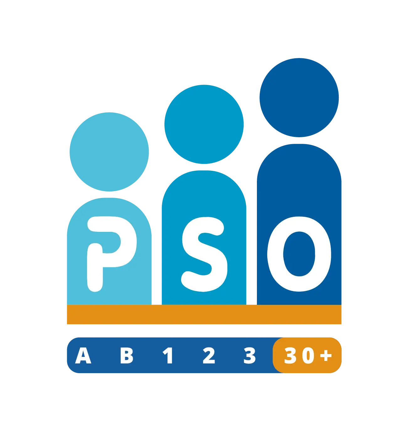 PSO certificering